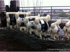 供应如迪隔膜泵型号齐全水泵（价格面议）-- 上海如迪流体输送设备有限公司